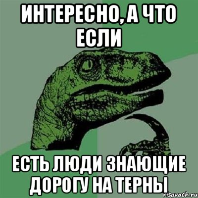 Интересно, а что если есть люди знающие дорогу на терны, Мем Филосораптор