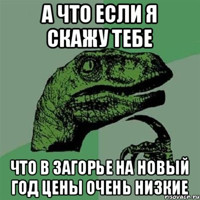 А что если я скажу тебе что в загорье на новый год цены очень низкие, Мем Филосораптор