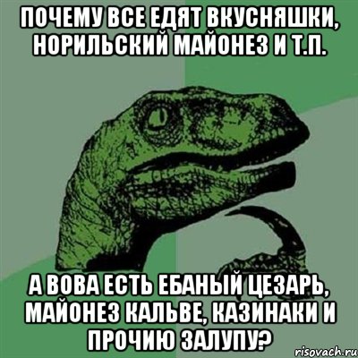 Почему все едят вкусняшки, норильский майонез и т.п. А Вова есть ебаный цезарь, майонез кальве, казинаки и прочию залупу?, Мем Филосораптор