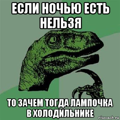 если ночью есть нельзя то зачем тогда лампочка в холодильнике, Мем Филосораптор