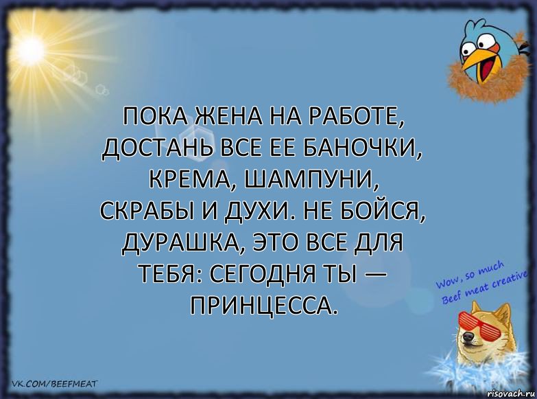 Пока жена на работе, достань все ее баночки, крема, шампуни, скрабы и духи. Не бойся, дурашка, это все для тебя: сегодня ты — принцесса., Комикс ФОН