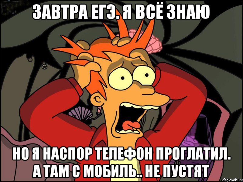 Завтра ЕГЭ. Я всё знаю но я наспор телефон проглатил. А там с мобиль.. не пустят, Мем Фрай в панике