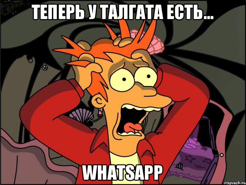 Теперь у Талгата есть... WhatsApp, Мем Фрай в панике