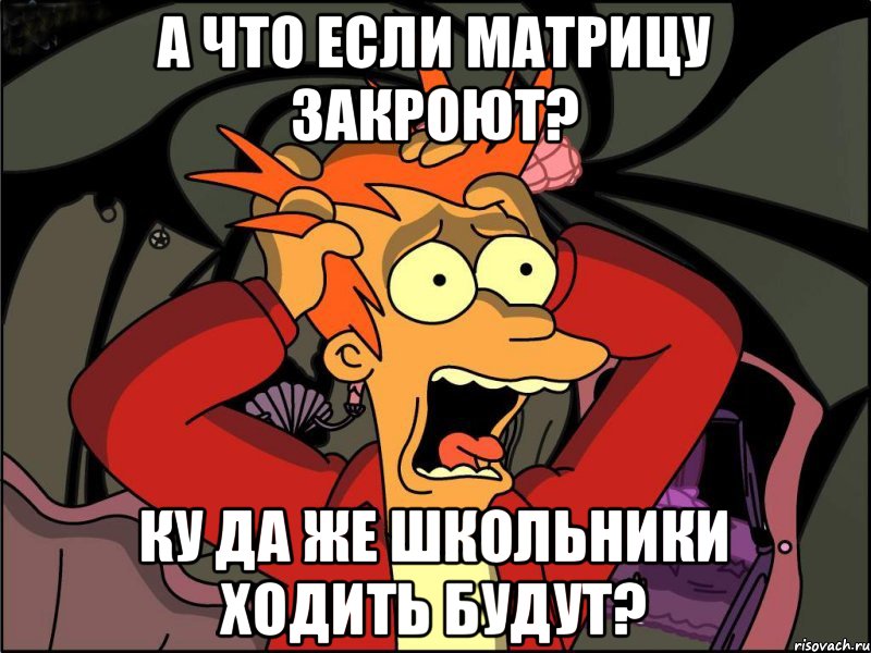 А что если матрицу закроют? Ку да же школьники ходить будут?, Мем Фрай в панике