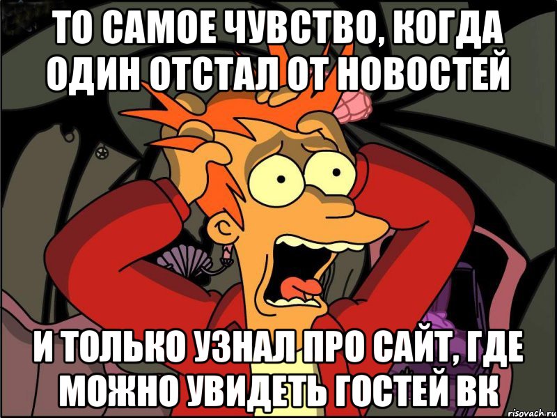 То самое чувство, когда один отстал от новостей и только узнал про сайт, где можно увидеть гостей вк, Мем Фрай в панике