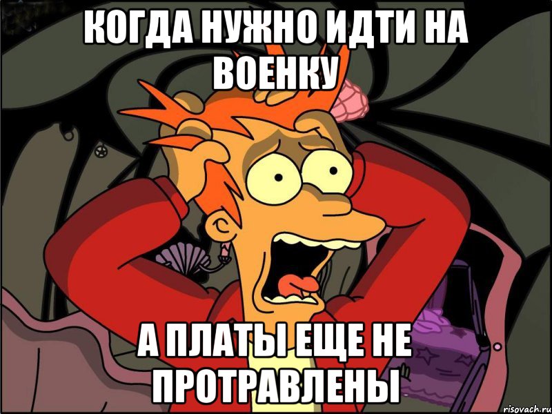 Когда нужно идти на военку А платы еще не протравлены, Мем Фрай в панике