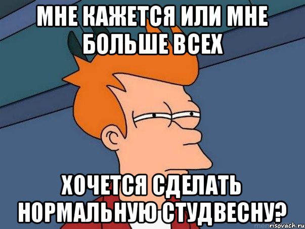 Мне кажется или мне больше всех хочется сделать нормальную студвесну?, Мем  Фрай (мне кажется или)