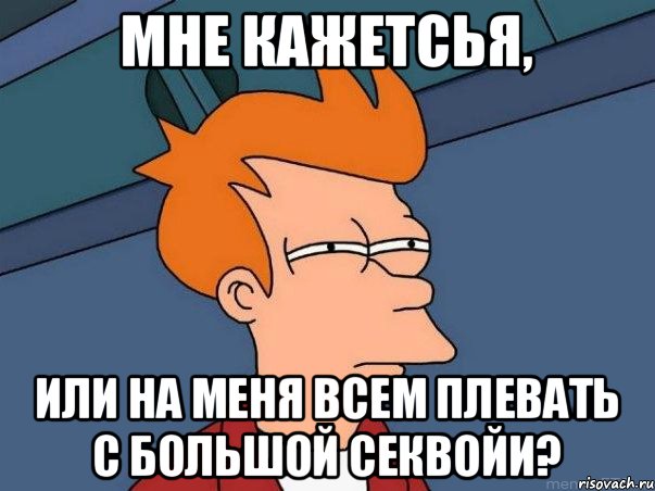 Мне кажетсья, Или на меня всем плевать с большой секвойи?, Мем  Фрай (мне кажется или)