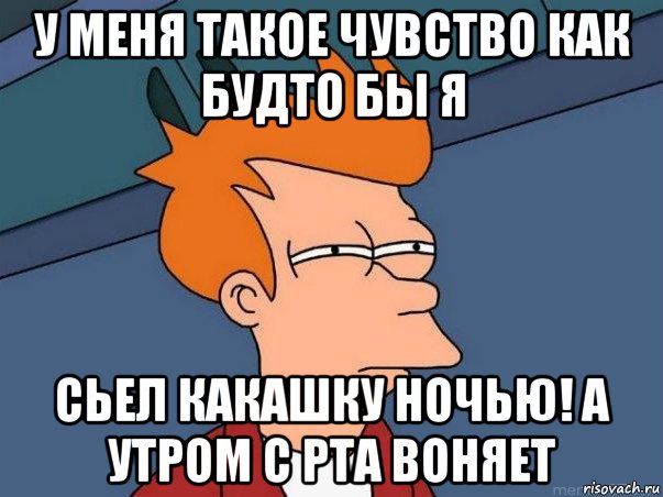 у меня такое чувство как будто бы я сьел какашку ночью! а утром с рта воняет, Мем  Фрай (мне кажется или)