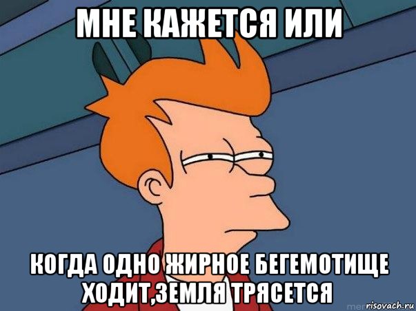 мне кажется или когда одно жирное бегемотище ходит,земля трясется, Мем  Фрай (мне кажется или)