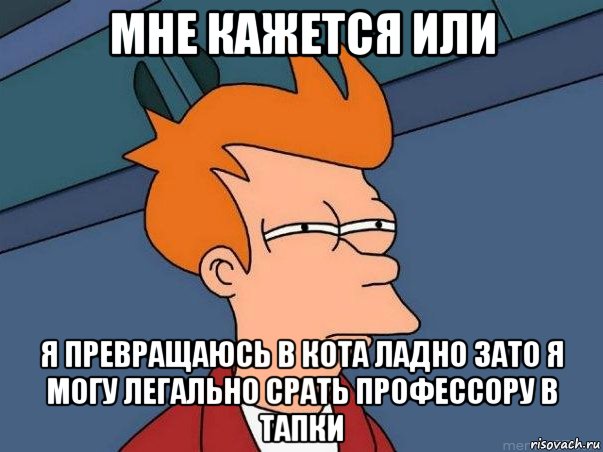 мне кажется или я превращаюсь в кота ладно зато я могу легально срать профессору в тапки, Мем  Фрай (мне кажется или)