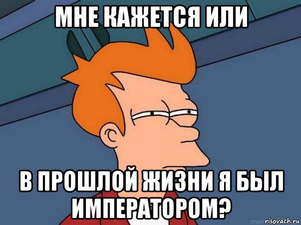 мне кажется или в прошлой жизни я был императором?, Мем  Фрай (мне кажется или)