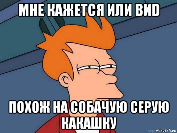 мне кажется или виd похож на собачую серую какашку, Мем  Фрай (мне кажется или)