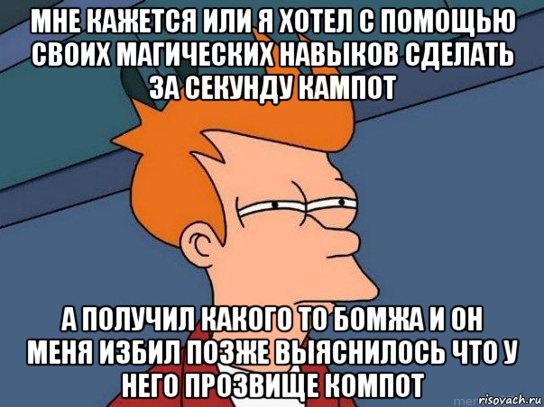 мне кажется или я хотел с помощью своих магических навыков сделать за секунду кампот а получил какого то бомжа и он меня избил позже выяснилось что у него прозвище компот, Мем  Фрай (мне кажется или)