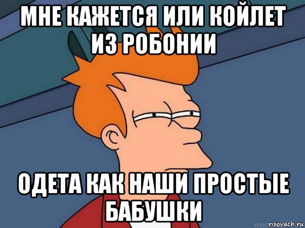 мне кажется или койлет из робонии одета как наши простые бабушки, Мем  Фрай (мне кажется или)