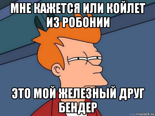 мне кажется или койлет из робонии это мой железный друг бендер, Мем  Фрай (мне кажется или)