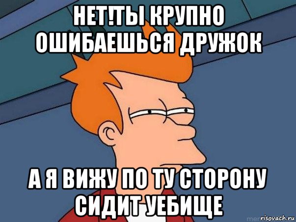 нет!ты крупно ошибаешься дружок а я вижу по ту сторону сидит уебище, Мем  Фрай (мне кажется или)