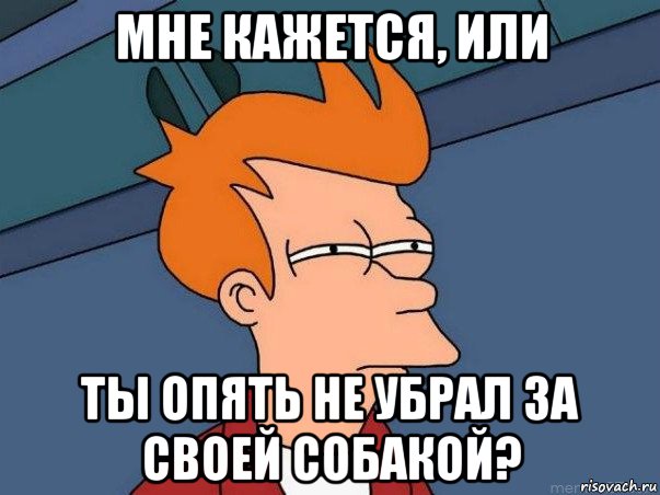 мне кажется, или ты опять не убрал за своей собакой?, Мем  Фрай (мне кажется или)