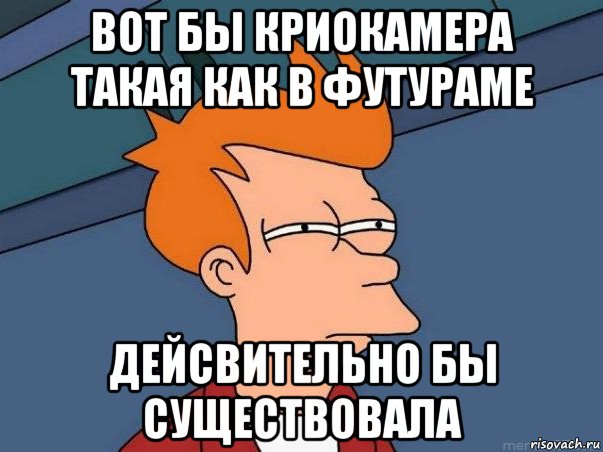 вот бы криокамера такая как в футураме дейсвительно бы существовала, Мем  Фрай (мне кажется или)