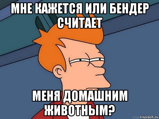 мне кажется или бендер считает меня домашним животным?, Мем  Фрай (мне кажется или)