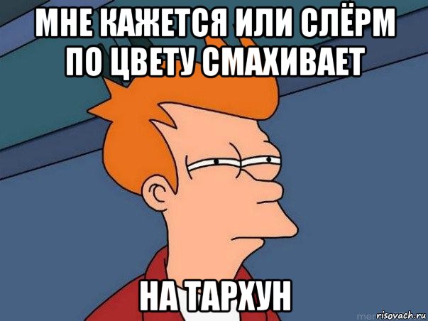 мне кажется или слёрм по цвету смахивает на тархун, Мем  Фрай (мне кажется или)