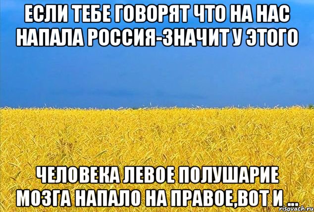 если тебе говорят что на нас напала россия-значит у этого человека левое полушарие мозга напало на правое,вот и ..., Мем фыв