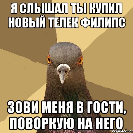 я слышал ты купил новый телек филипс зови меня в гости, поворкую на него, Мем голубь