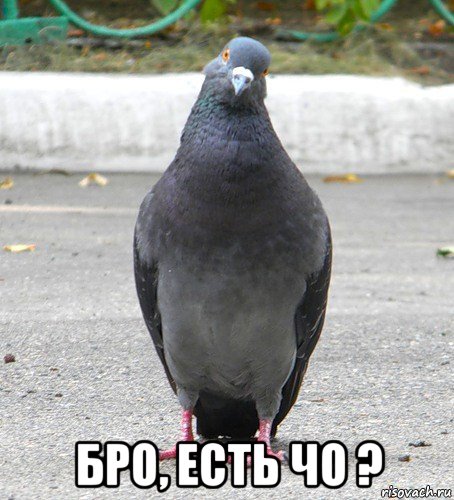  бро, есть чо ?