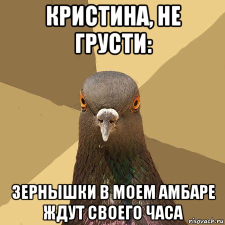 кристина, не грусти: зернышки в моем амбаре ждут своего часа, Мем голубь