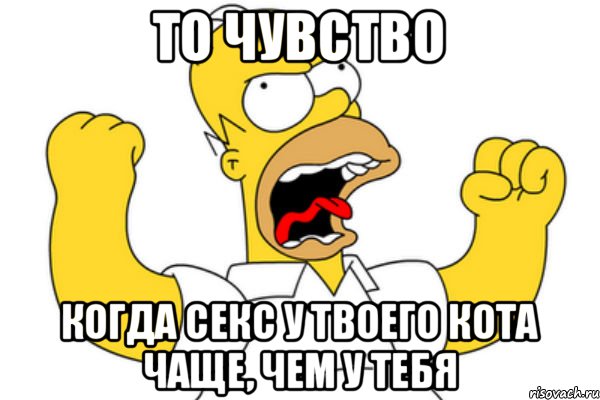 То чувство Когда секс у твоего кота чаще, чем у тебя, Мем Разъяренный Гомер