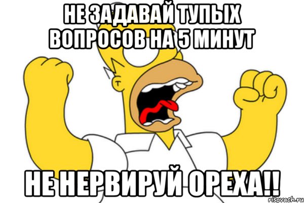 не задавай тупых вопросов на 5 минут Не нервируй ОРЕХА!!, Мем Разъяренный Гомер