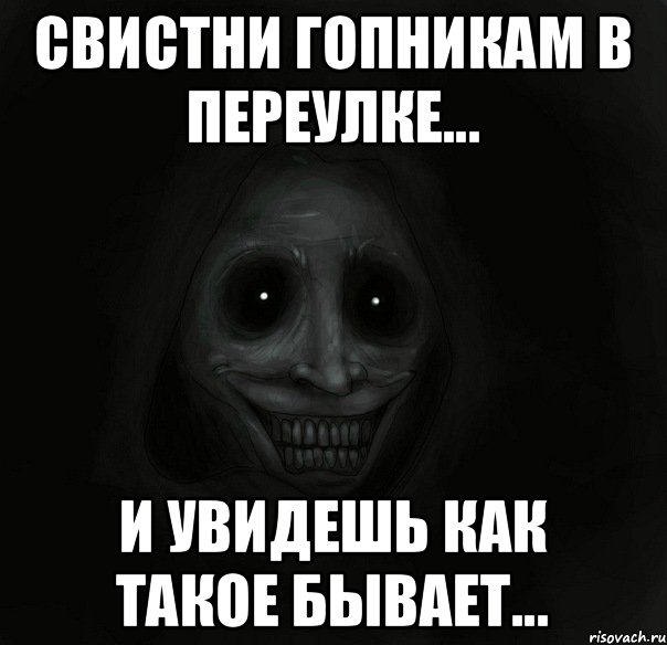Свистни гопникам в переулке... И увидешь как такое бывает..., Мем Ночной гость