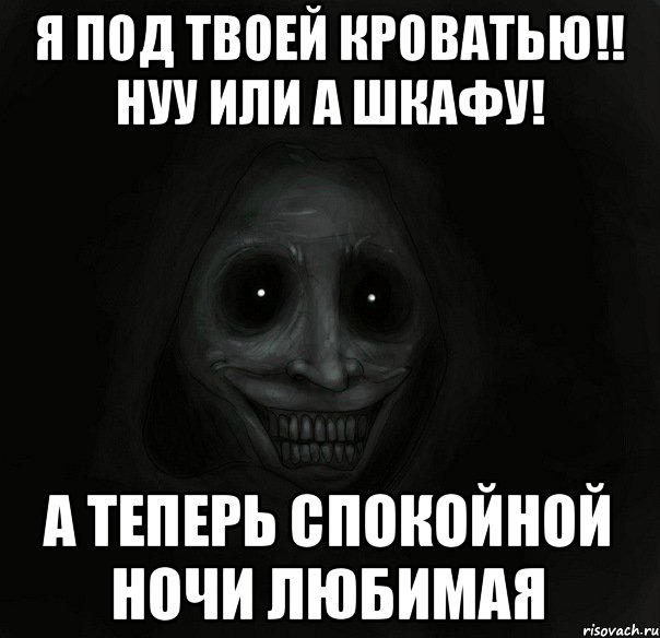 Я под твоей кроватью!! Нуу или а шкафу! А теперь спокойной ночи любимая, Мем Ночной гость