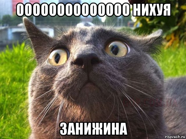 оооооооооооооо нихуя занижина