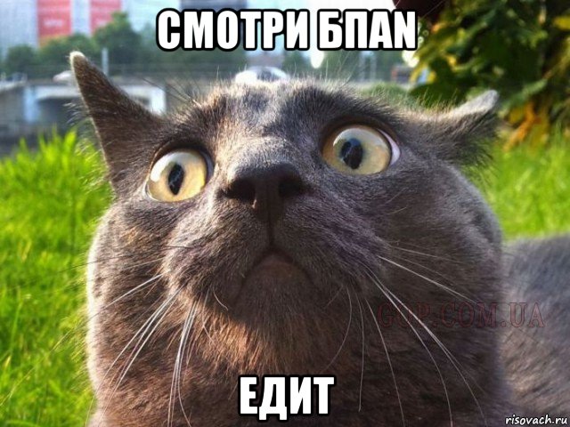 смотри бпаn едит