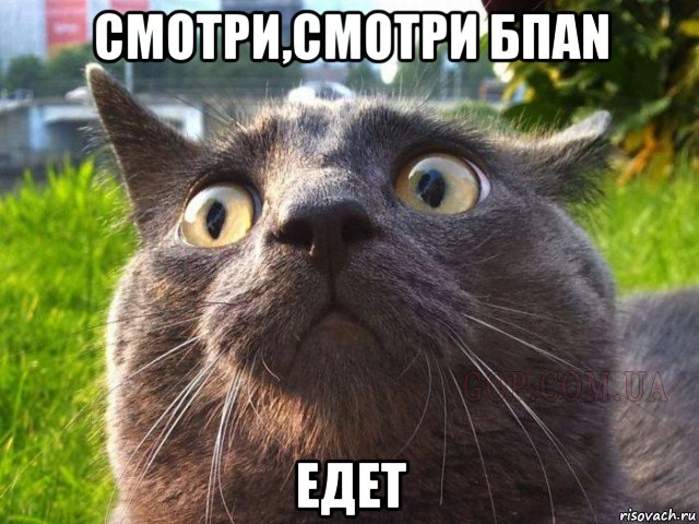 смотри,смотри бпаn едет