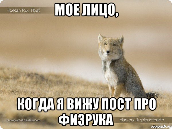 мое лицо, когда я вижу пост про физрука