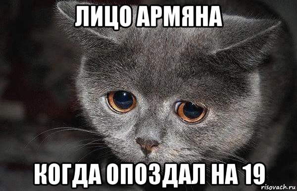 лицо армяна когда опоздал на 19, Мем  Грустный кот