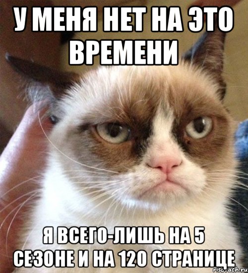 у меня нет на это времени я всего-лишь на 5 сезоне и на 120 странице, Мем Грустный (сварливый) кот