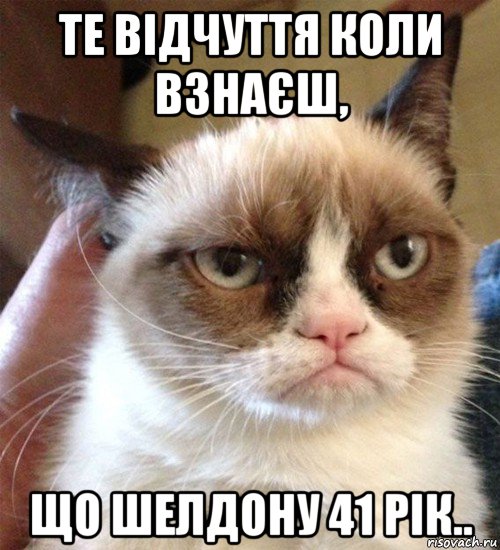 те відчуття коли взнаєш, що шелдону 41 рік.., Мем Грустный (сварливый) кот