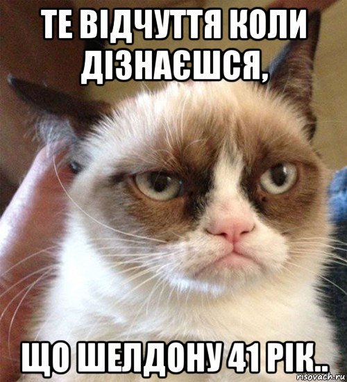 те відчуття коли дізнаєшся, що шелдону 41 рік.., Мем Грустный (сварливый) кот