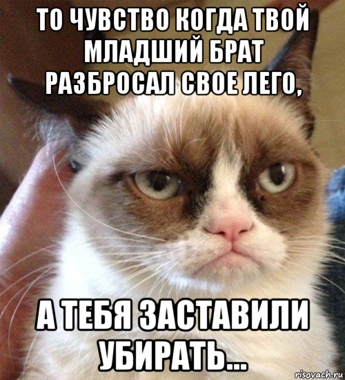 то чувство когда твой младший брат разбросал свое лего, а тебя заставили убирать..., Мем Грустный (сварливый) кот