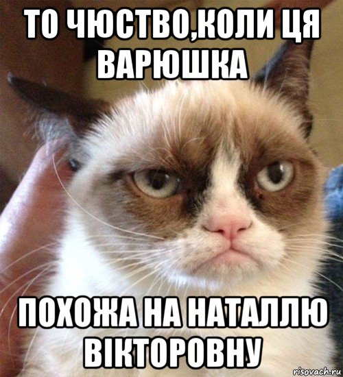 то чюство,коли ця варюшка похожа на наталлю вікторовну, Мем Грустный (сварливый) кот