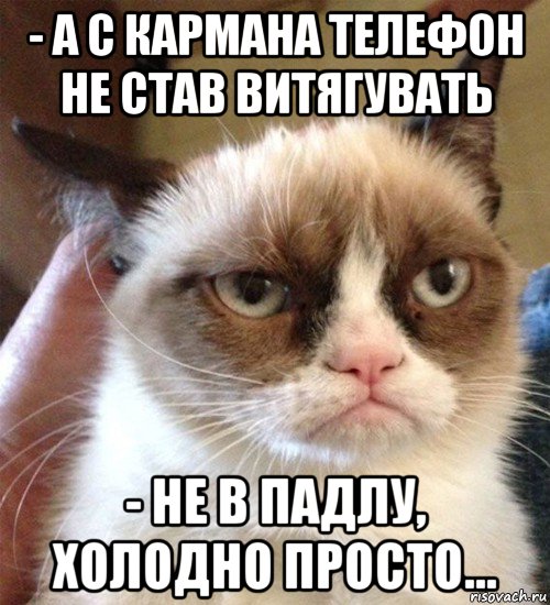 - а с кармана телефон не став витягувать - не в падлу, холодно просто..., Мем Грустный (сварливый) кот