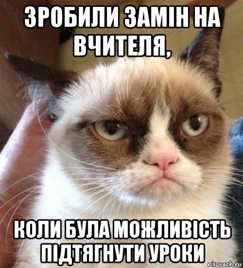 зробили замін на вчителя, коли була можливість підтягнути уроки, Мем Грустный (сварливый) кот