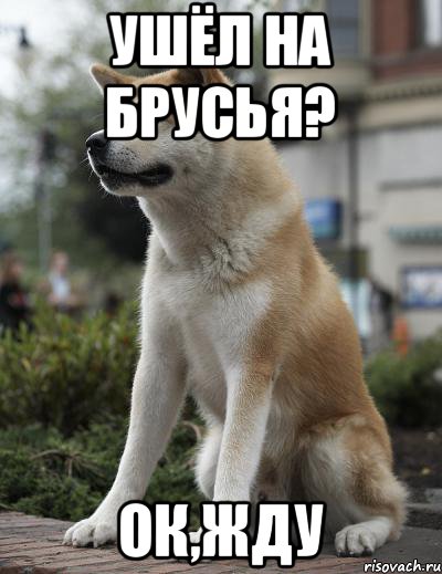 Ушёл на брусья? Ок,жду, Мем  Хатико ждет