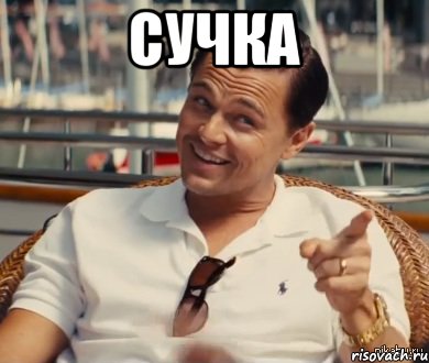 Сучка 