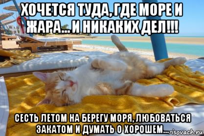 Картинка хочу на море и на ручки