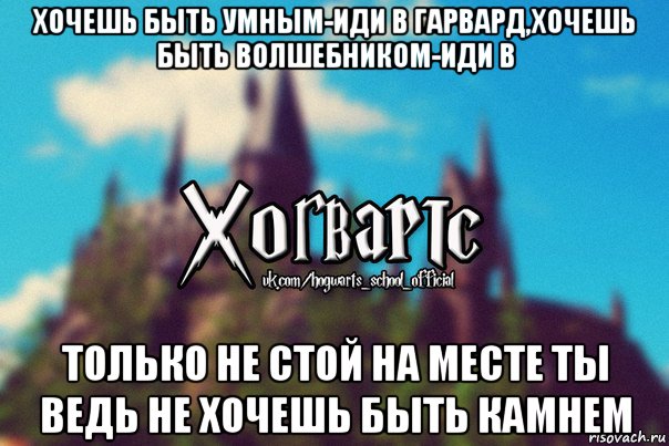 хочешь быть умным-иди в гарвард,хочешь быть волшебником-иди в только не стой на месте ты ведь не хочешь быть камнем, Мем Хогвартс