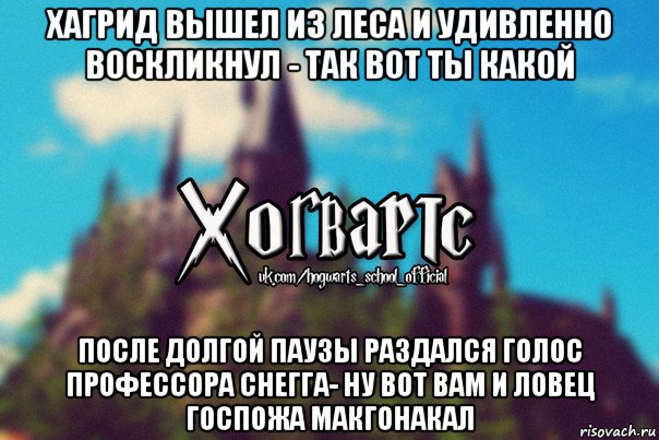 хагрид вышел из леса и удивленно воскликнул - так вот ты какой после долгой паузы раздался голос профессора снегга- ну вот вам и ловец госпожа макгонакал, Мем Хогвартс